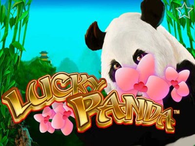 Lucky Panda