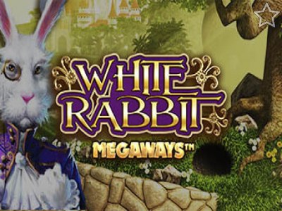 White Rabbit